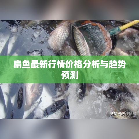 扁鱼最新行情价格分析与趋势预测