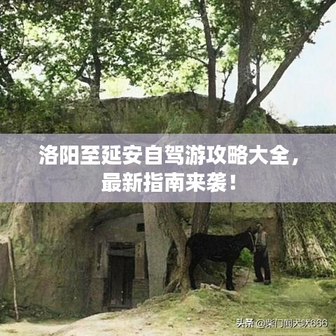 洛阳至延安自驾游攻略大全，最新指南来袭！