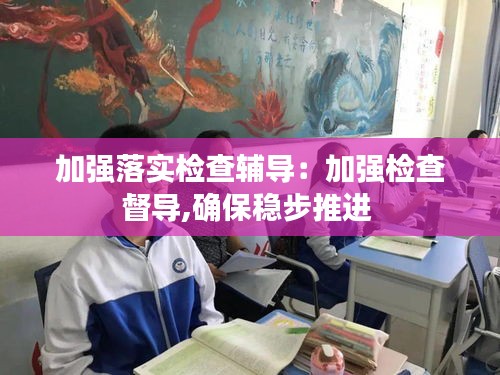 加强落实检查辅导：加强检查督导,确保稳步推进 