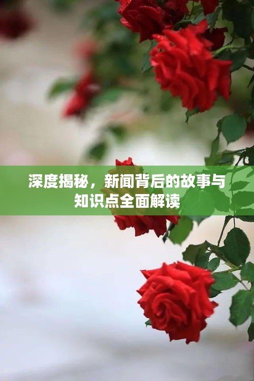深度揭秘,新闻背后的故事与知识点全面解读