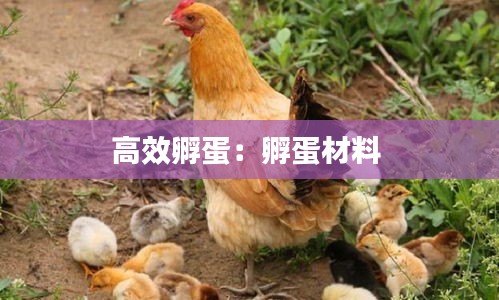 自由自在 第3页