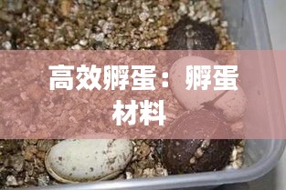 高效孵蛋:孵蛋材料