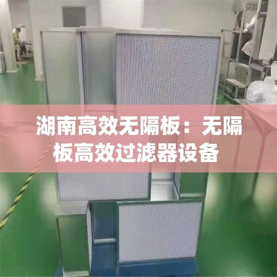 湖南高效无隔板：无隔板高效过滤器设备 