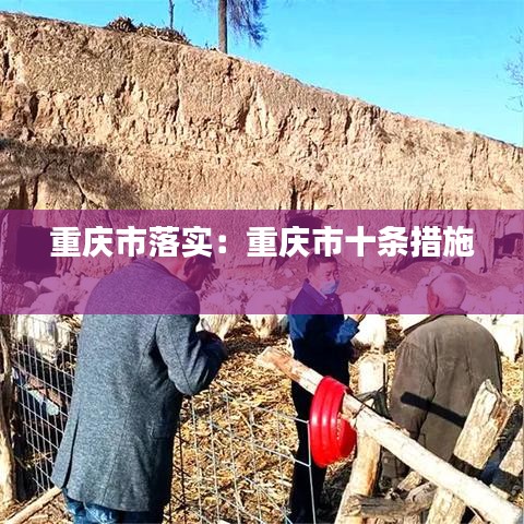 重庆市落实：重庆市十条措施 