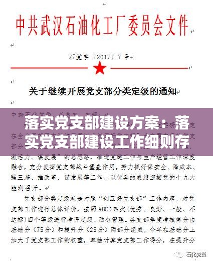 落实党支部建设方案：落实党支部建设工作细则存在的问题 