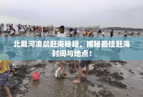 北戴河凌晨赶海秘籍，揭秘最佳赶海时间与地点！