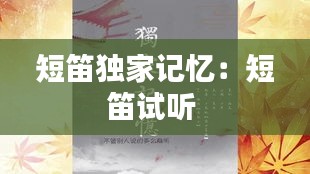 短笛独家记忆：短笛试听 