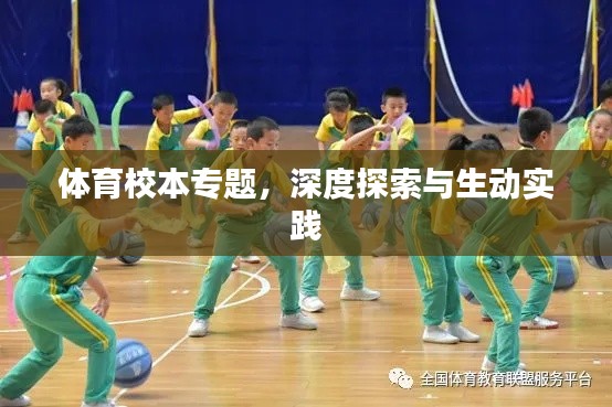 体育校本专题，深度探索与生动实践