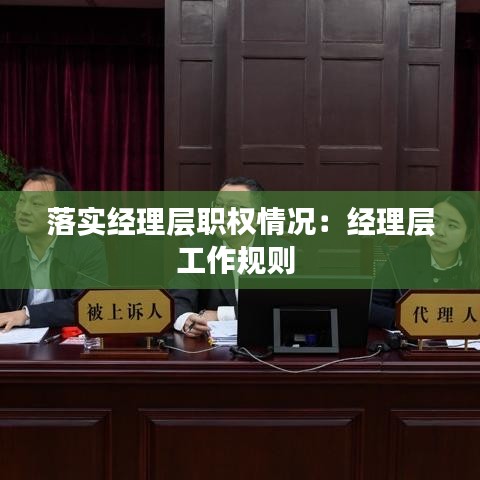 落实经理层职权情况：经理层工作规则 