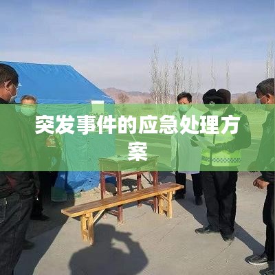 突发事件的应急处理方案