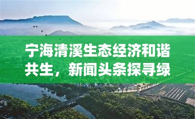 宁海清溪生态经济和谐共生,新闻头条探寻绿色发展之路