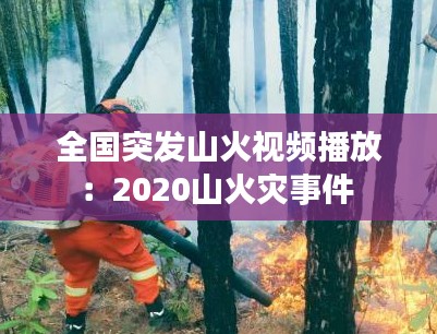 全国突发山火视频播放：2020山火灾事件 