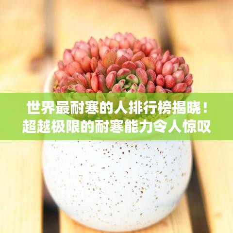 世界最耐寒的人排行榜揭晓！超越极限的耐寒能力令人惊叹！