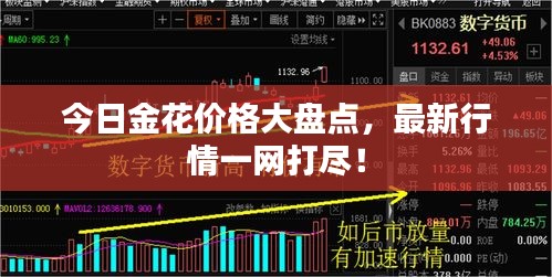 今日金花价格大盘点，最新行情一网打尽！