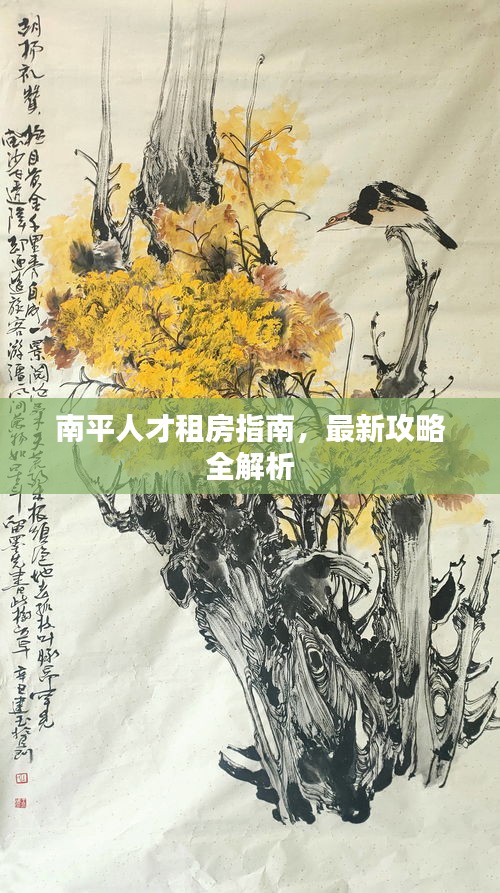 南平人才租房指南，最新攻略全解析
