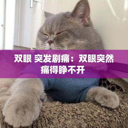 尽善尽美 第4页