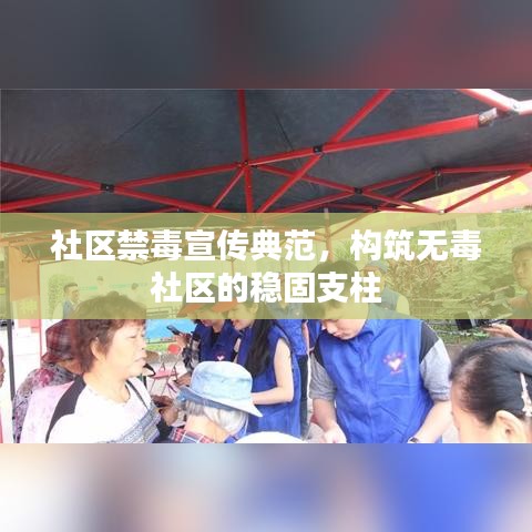 社区禁毒宣传典范，构筑无毒社区的稳固支柱