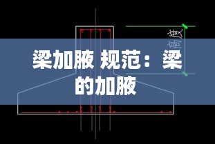 梁加腋 规范:梁的加腋