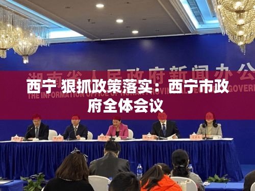 西宁 狠抓政策落实：西宁市政府全体会议 