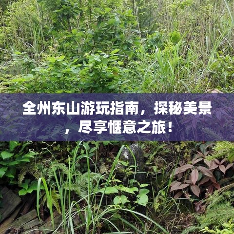 全州东山游玩指南，探秘美景，尽享惬意之旅！