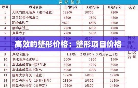 高效的整形价格：整形项目价格 