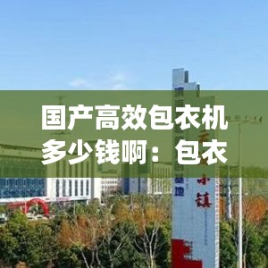 国产高效包衣机多少钱啊：包衣机厂家排名 
