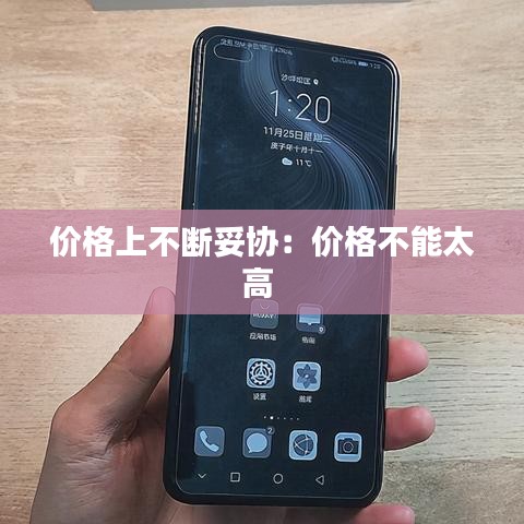 价格上不断妥协：价格不能太高 