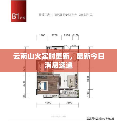 云南山火实时更新，最新今日消息速递
