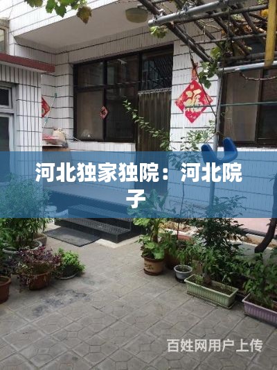 河北独家独院：河北院子 