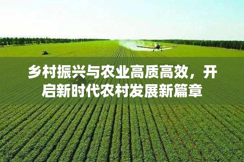 乡村振兴与农业高质高效,开启新时代农村发展新篇章