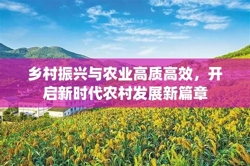 乡村振兴与农业高质高效,开启新时代农村发展新篇章