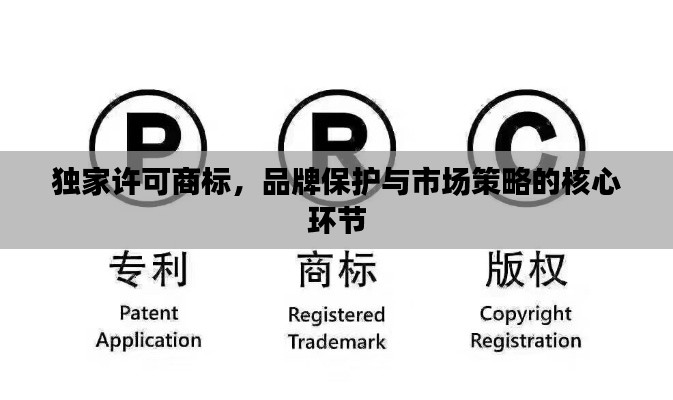 独家许可商标，品牌保护与市场策略的核心环节