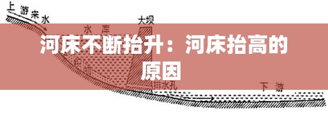 还朴反古 第3页