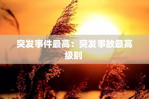 突发事件最高：突发事故最高级别 