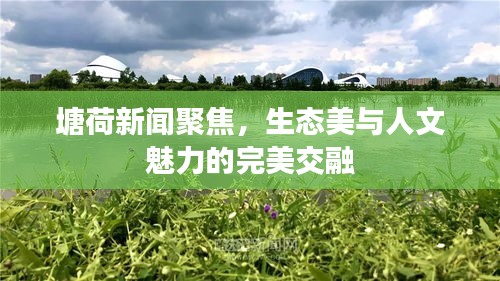 塘荷新闻聚焦，生态美与人文魅力的完美交融