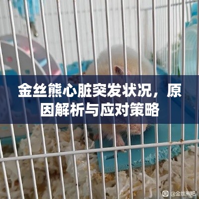 聚精会神 第3页