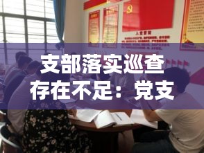 支部落实巡查存在不足：党支部巡视问题整改落实情况 