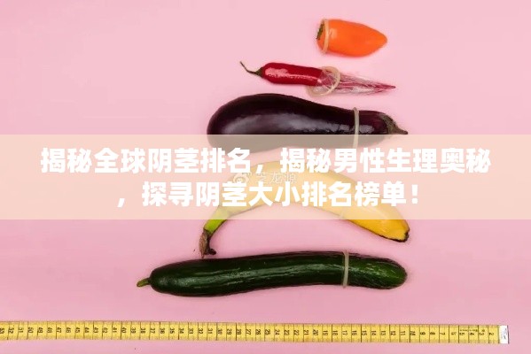 揭秘全球阴茎排名，揭秘男性生理奥秘，探寻阴茎大小排名榜单！