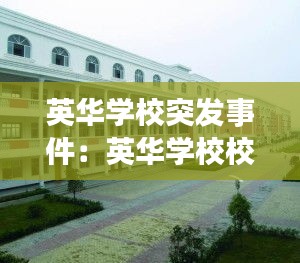 慎重其事 第3页