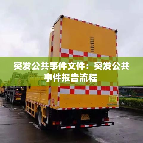 突发公共事件文件：突发公共事件报告流程 