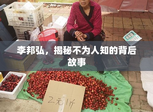 李邦弘，揭秘不为人知的背后故事