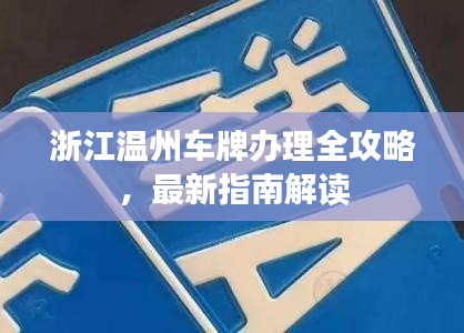 浙江温州车牌办理全攻略，最新指南解读