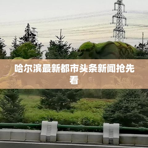 哈尔滨最新都市头条新闻抢先看