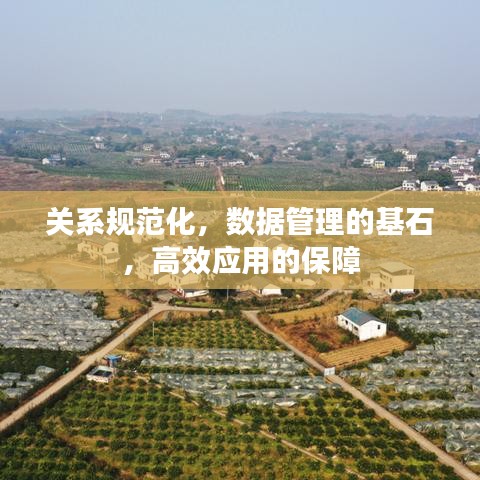 关系规范化，数据管理的基石，高效应用的保障