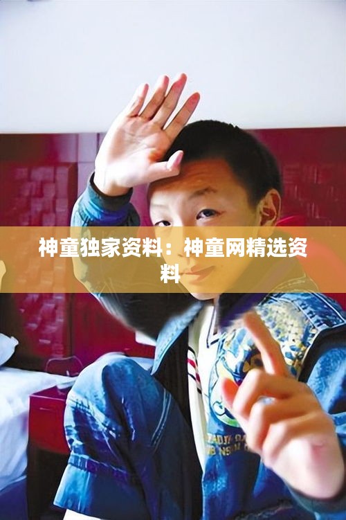 神童独家资料：神童网精选资料 