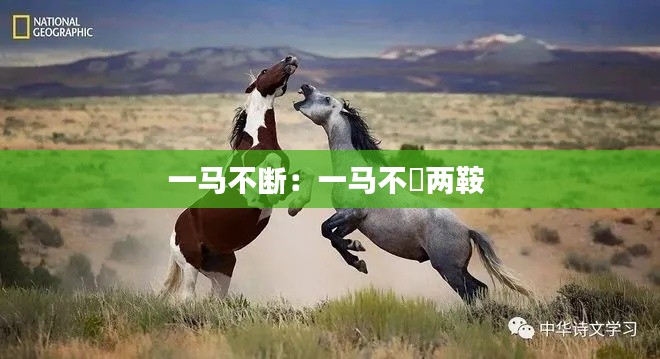 一马不断：一马不鞁两鞍 