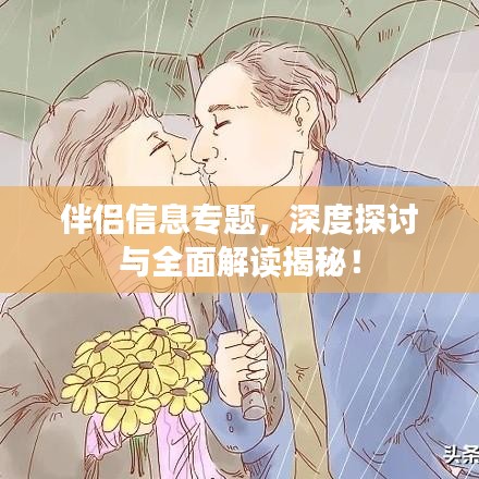 伴侣信息专题，深度探讨与全面解读揭秘！