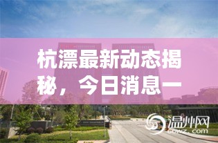 杭漂最新动态揭秘，今日消息一网打尽