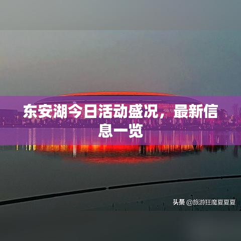 东安湖今日活动盛况，最新信息一览