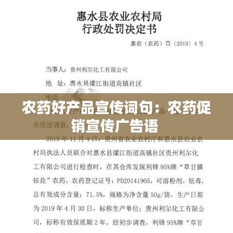 自作主张 第3页